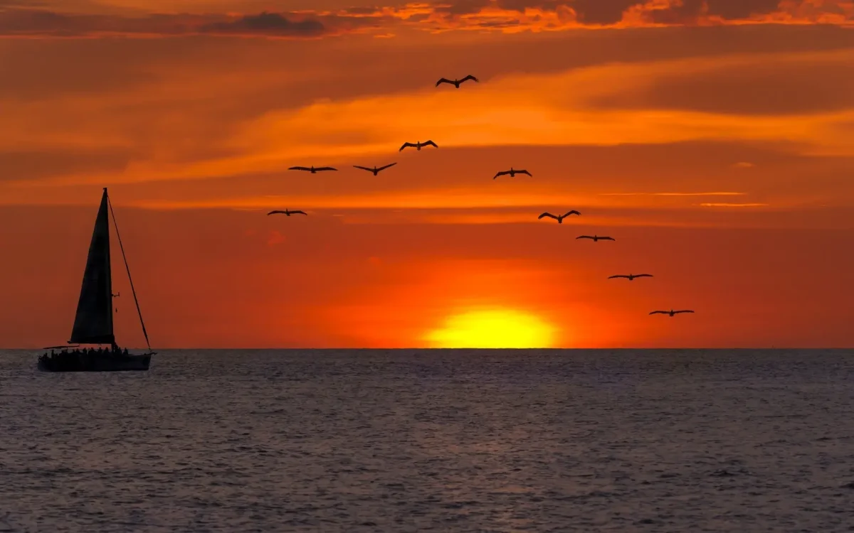 shutterstock_301581260-1[1]