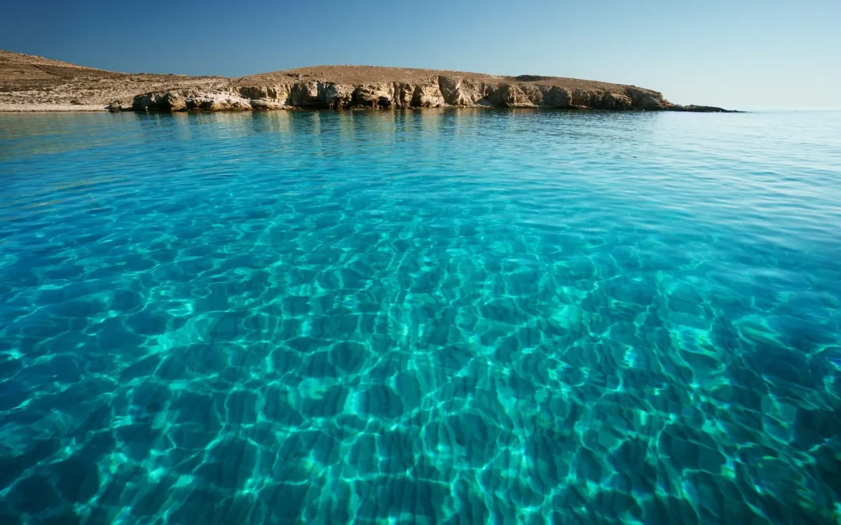 shutterstock_315290372-1-1[1]